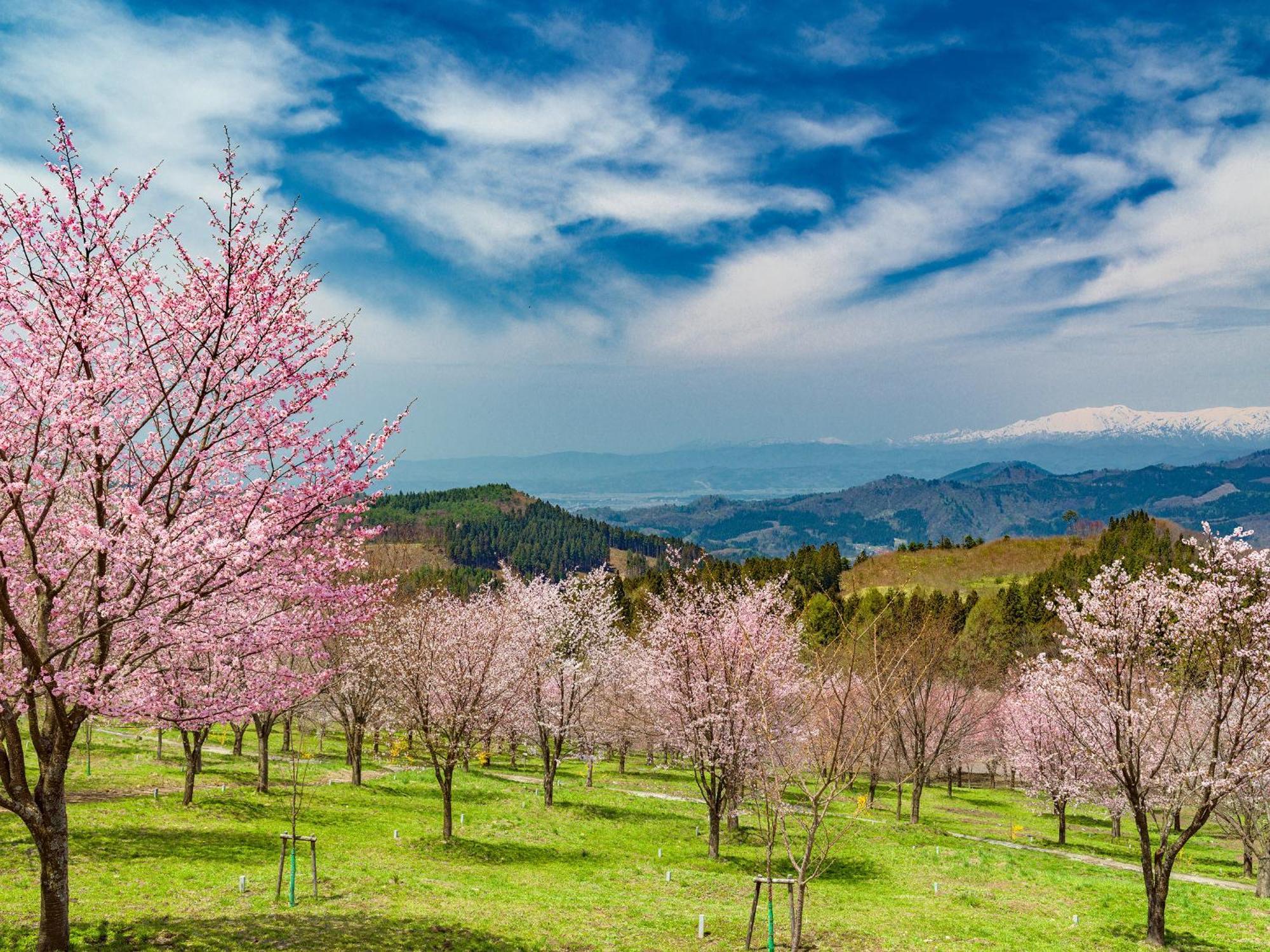 Urabandai Lake Resort Geihinkan Nekoma Rikyu 北塩原村 外观 照片